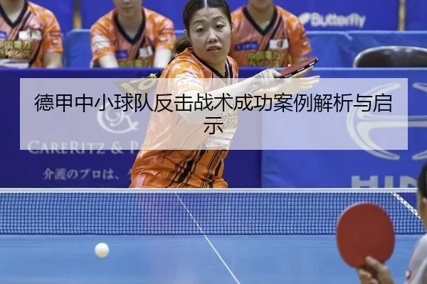德甲中小球队反击战术成功案例解析与启示