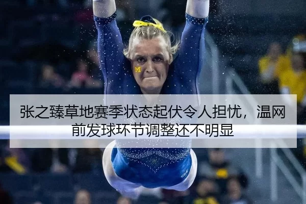 张之臻草地赛季状态起伏令人担忧，温网前发球环节调整还不明显
